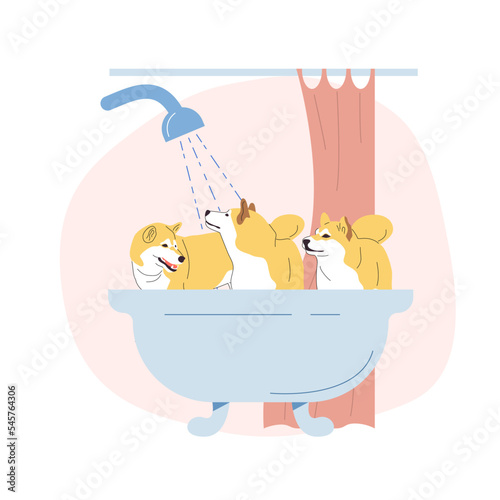 3 dogs bathing in bathtub. Flat vector illustration.