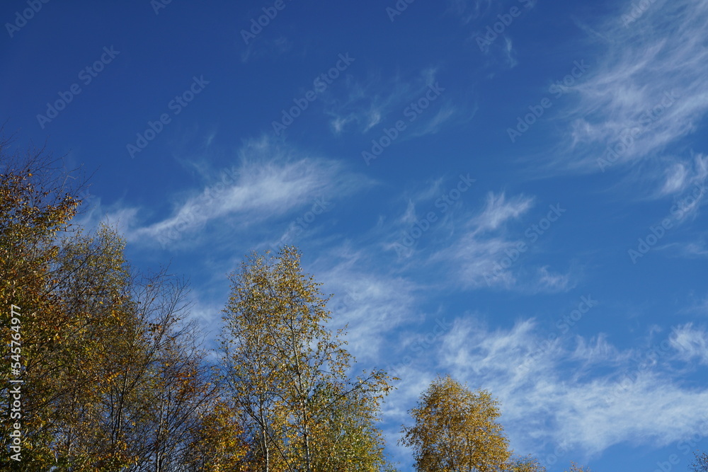 Herbst Wetter bei Sonnenschein und mit schönem blauen Himmel Herbst Wetter bei Sonnenschein und mit schönem blauen Himmel