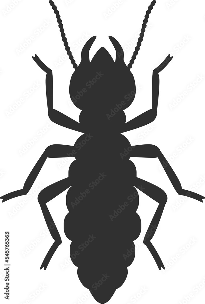 Termite black silhouette icon Termite black silhouette icon