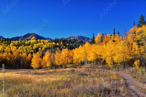 Pine Hollow hiking trail Mountain views by Timpanogos in the Wasatch Mountains Rocky Mountains, Utah. America.  © Jeremy