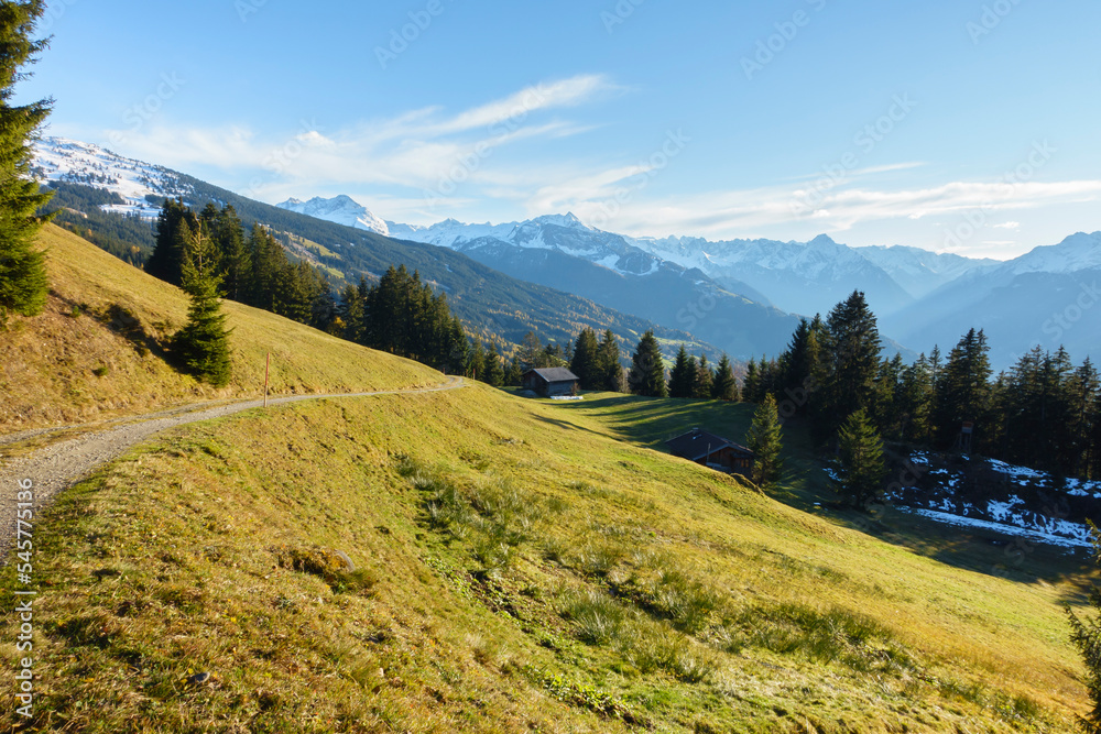 Fototapeta premium Bergstraße durch die österreichischen Alpen