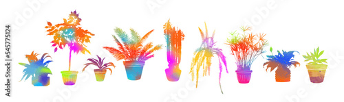 Organic flat houseplant colorful collection. Set of house plants in pots. Vector illustration.