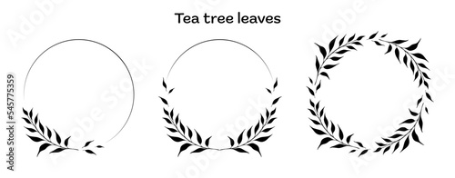 Set of doodle floral, line and leaf circle frames. Tea tree leaves ink style. Vector illustration.
