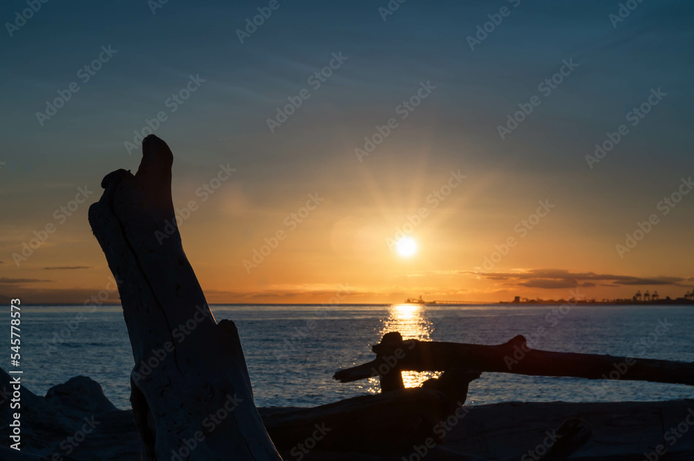 sunset with driftwood and ships silhouettes  in   backround at  Point Roberts, Washington state, USA