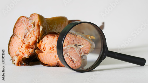 Magnifying glass and pieces of smoked fish - salmon. Research and examination quality of fish and seafood. Analysis of the content of pathogens, viruses and harmful substances in products