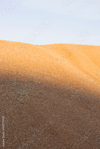 vertical image with high heaps of ripe wheat grains outdoors