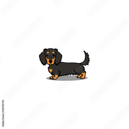 Cute long haired dachshund dog black and tan cartoon, vector illustration photo