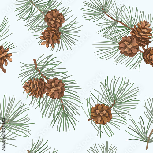 Winter forest seamless pattern with pine branches and cones. Evergreen floral christmas vector illustration. Engraving hand-drawn nature background.