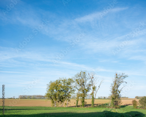 rural countryside landscape with trees south of city of mons or bergen in belgium