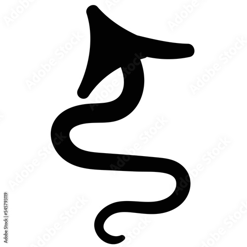 black and white snake photo