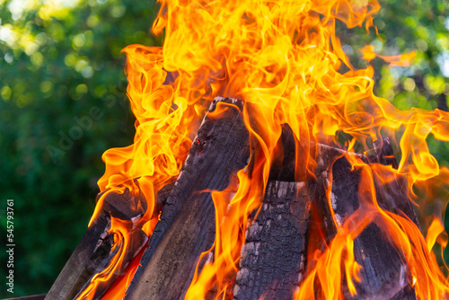 A large fire made of planks. Firewood in a bright flame. Firewood burns brightly in an iron grill.