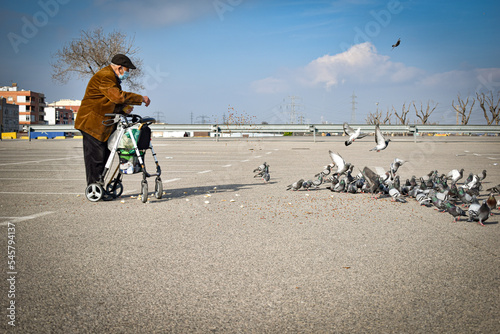 Anciano hombre mayor con su andador, alimentando a las palomas echando de comer a los pájaros con una gorra puesta y su andador lleno de bolsas