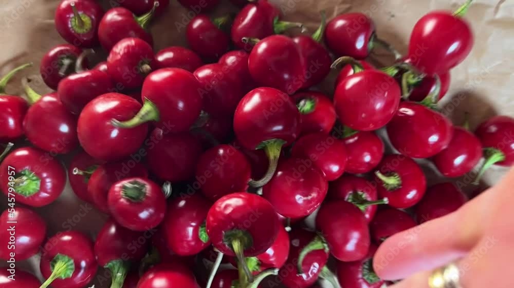 Small red chillies dropped in slow motion Small red chillies dropped in slow motion