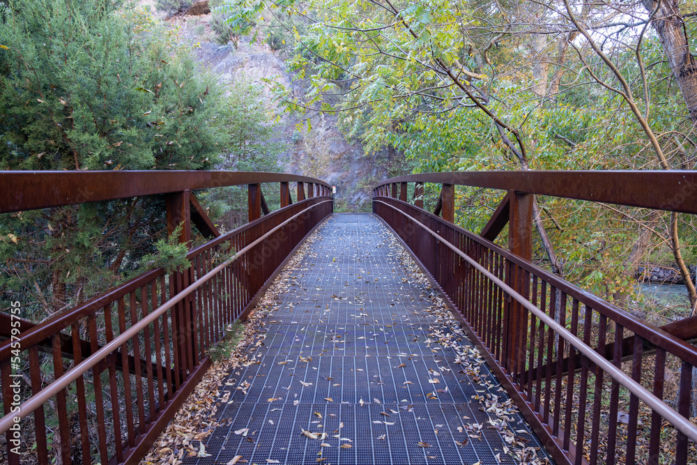 Pedestrian bridge leading to the catwalk recreation area of Gila National Forest in New Mexico