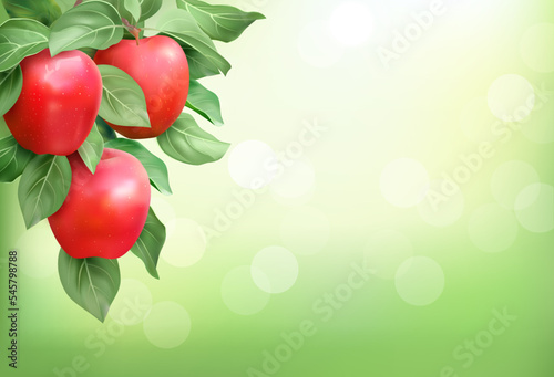 Branch with red ripe apples on sunny background. Vector illustration.