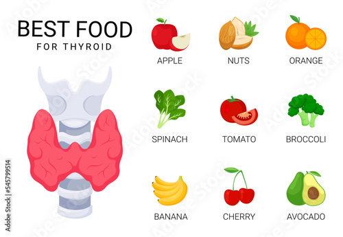 Best food for health thyroid nutrition, health food illustration, nutrition infographic concept