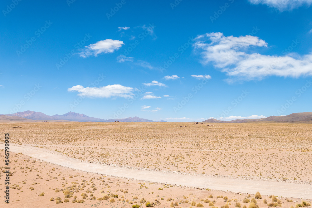 panoramic view of reserva natural eduardo abaroa parkland in bolivia
