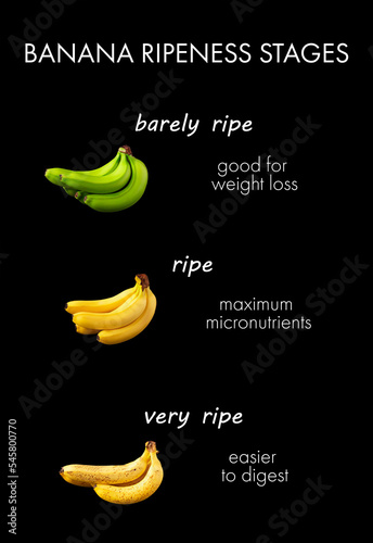 Banana ripeness stages on a black background