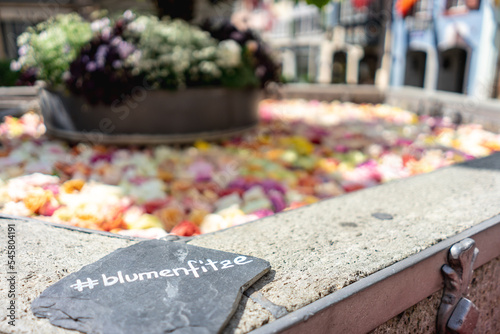 roses fountain zurich photo