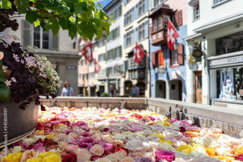 roses fountain zurich