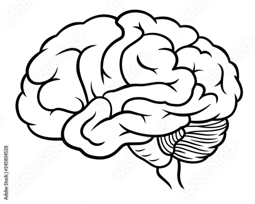 Doodle style human brain drawing, illustration black line on white background