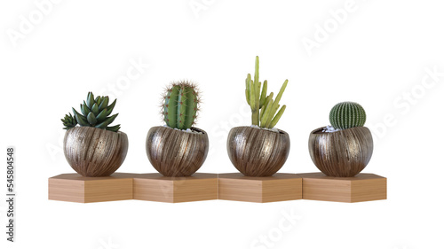 cactus in a pot plant idea concept set isolate on white background with different angle. 3D Rendering 