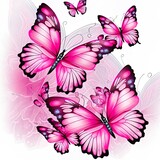 beautiful pink butterflies,isolated on a white