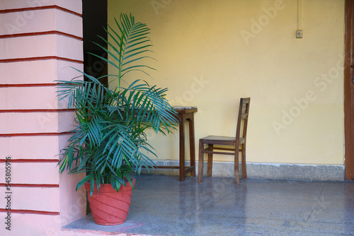 A palm tree in a red ceramic pot decorates a public space or corridor. A flowerpot with a tropical plant against the background of a wall  a table and a chair.
