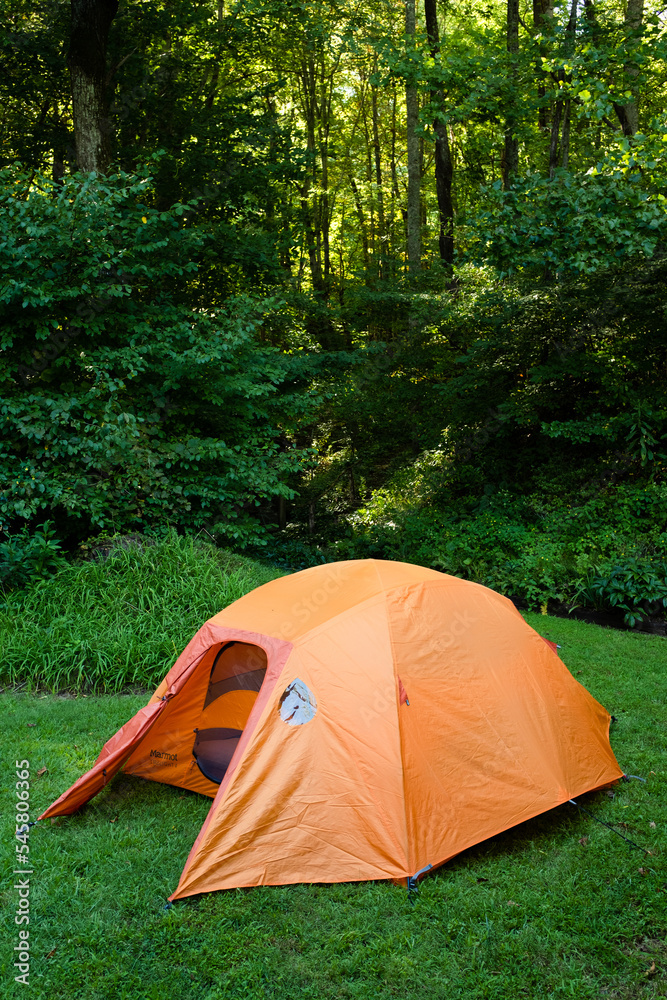 An orange tent on a green lawn with a lush forest background