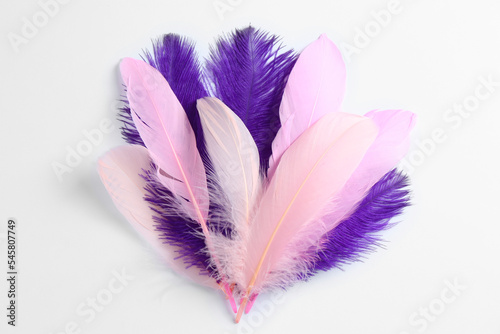 Beautiful purple and light pink feathers on white background © New Africa