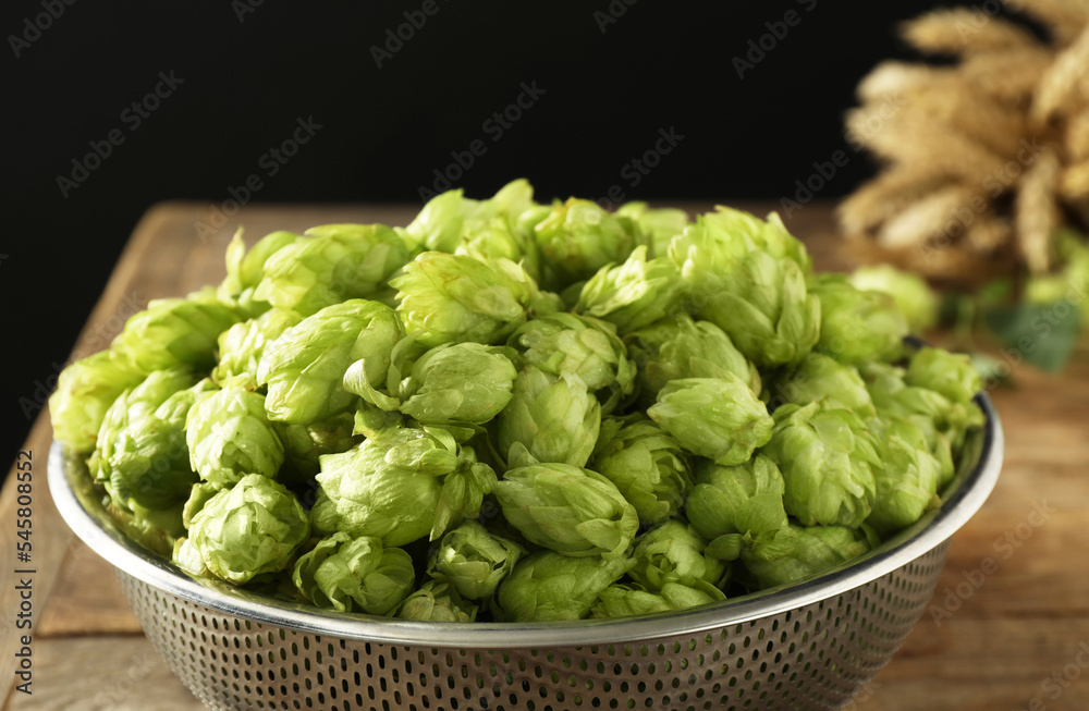 Fresh green hops in sieve on table, closeup Fresh green hops in sieve on table, closeup
