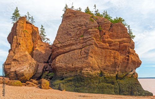 Exposed Rock at Low Tide in the Bay of Fundy