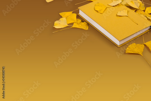 You can create a background freely by separating the ginkgo leaves and the book on the background.