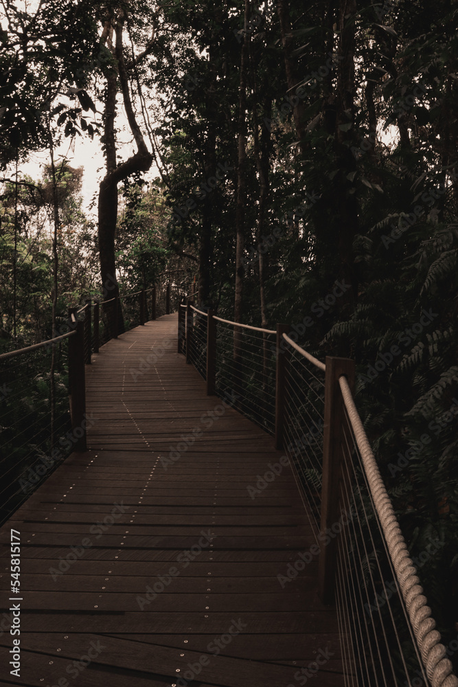 Kuranda rainforest walk way