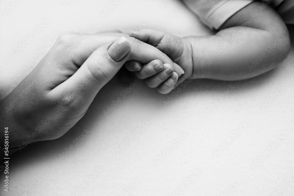 Close-up little hand of child and palm of mother and father. The newborn baby has a firm grip on the parent's finger after birth. A newborn holds on to mom's, dad's finger. Black and white photo. - obrazy, fototapety, plakaty 