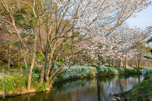 Beautiful landscape along the Kairakuen