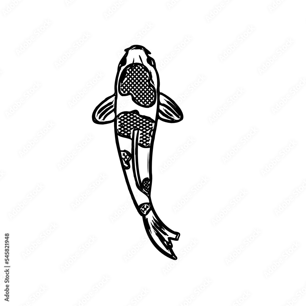 Koi fish black and white sketch design with a transparent background