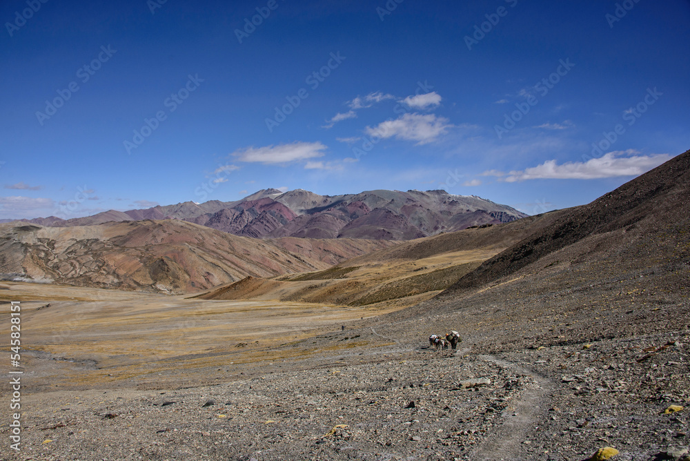 Horse trekking to Tso Moriri, Ladakh, India Horse trekking to Tso Moriri, Ladakh, India