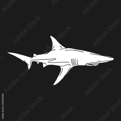 hand drawn illustrative shark vector vintage