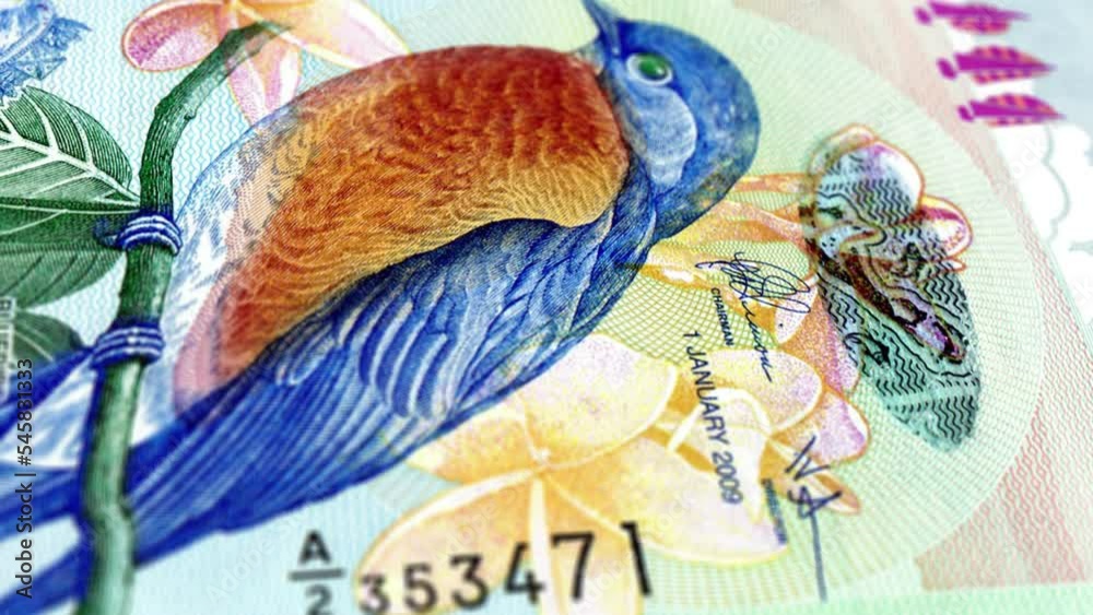 Bermuda Bermudian Dollar 2 Banknotes, Two Bermudian Dollar, Close-up and macro view of the Bermudian Dollar, Tracking and Dolly Shots 2 Bermudian Dollar banknote Observe and Reserve Side, Bermudian