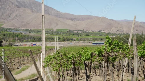Cultivated Land In Valle del Elqui With Andes Mountains In Coquimbo, Chile. Pan Right Shot photo