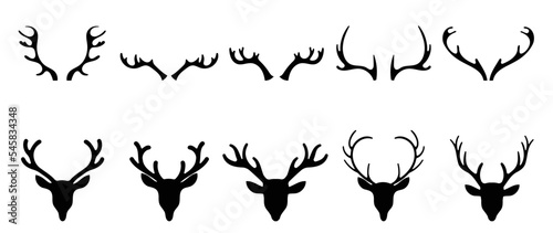 Fotografie, Tablou Set of antlers vector illustration