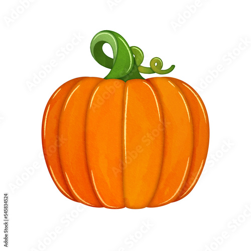 Watercolor pumpkin autumn harvest food clipart