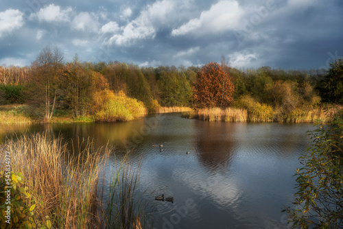Small pond with autumn colors, President Reagan Park, Gdansk, Poland