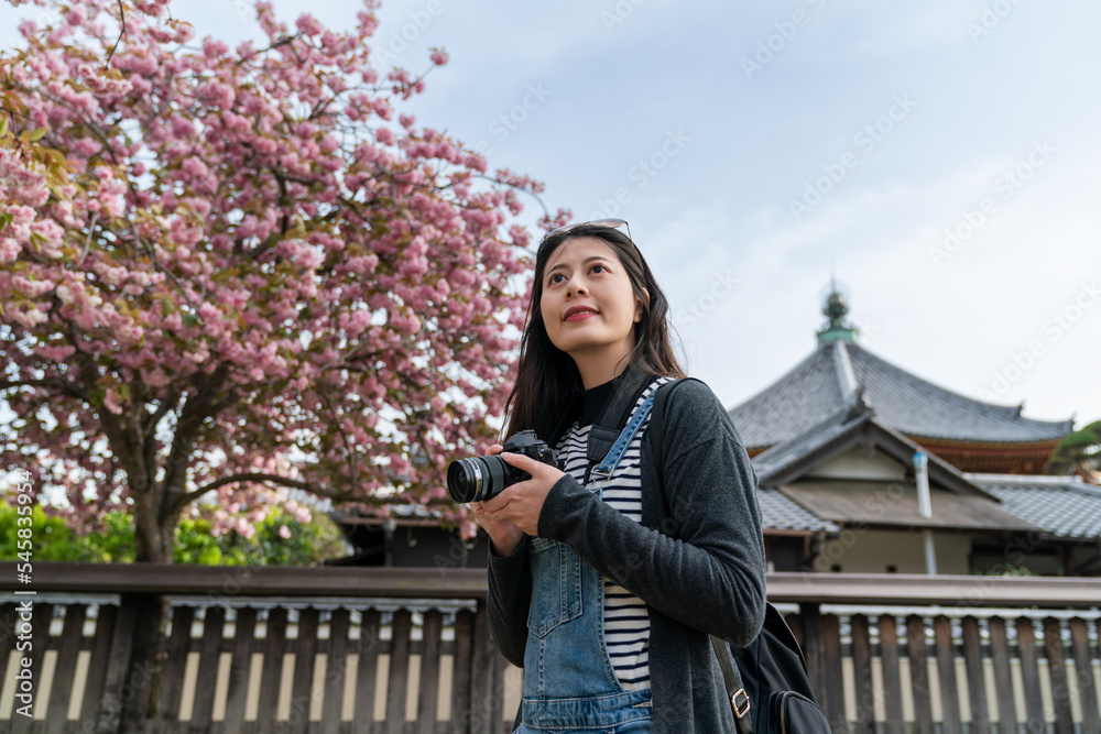 asian Japanese female photographer admiring natural beauty while traveling to Kofuku-ji temple in nara japan with pink cherry blossom at background under blue sky