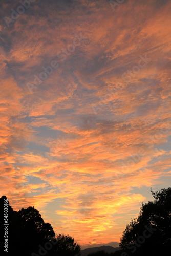 夕焼け