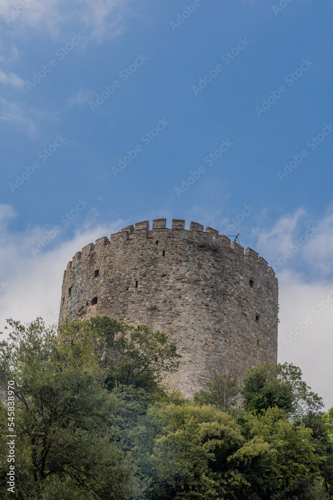Tower of castle ruins behind treeline against blue partly cloudy sky. Tower of castle ruins behind treeline against blue partly cloudy sky.