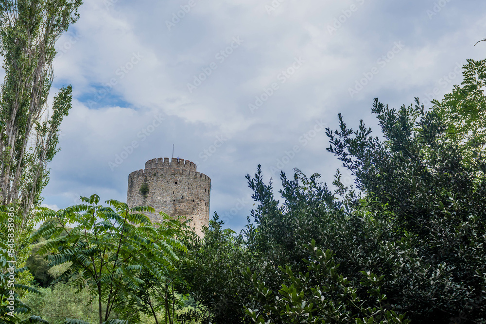 Tower of castle ruins behind treeline against blue partly cloudy sky.
