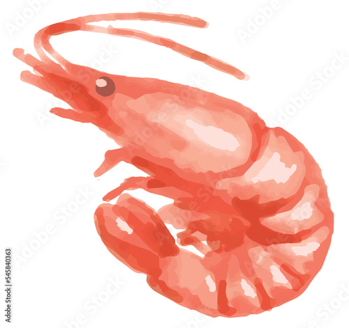 水彩風、えびの煮付け。お正月の食べ物イラスト素材。年賀状などに。ベクター素材。