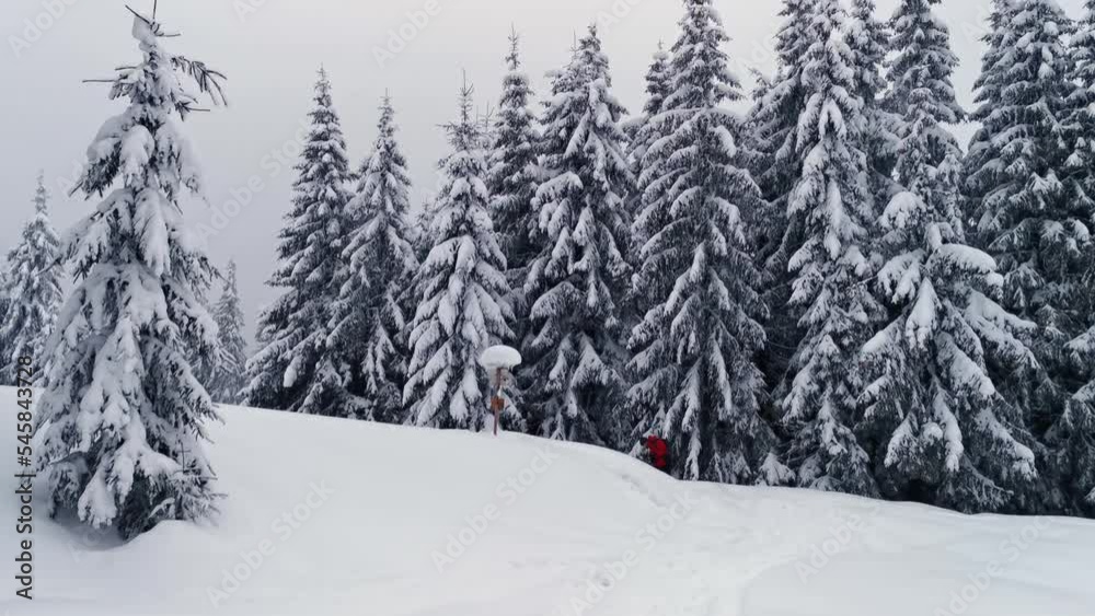 A man in a red jacket stands against a background of snow-covered fir trees near the route sign A man in a red jacket stands against a background of snow-covered fir trees near the route sign